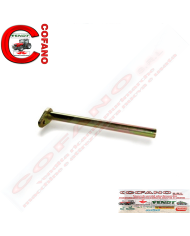 Albero pedaliera freni 3304907M91 Landini