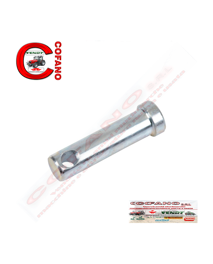Perno Catena Stabilizzatore