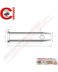 Perno 19x70mm Ø foro 7mm Cat.