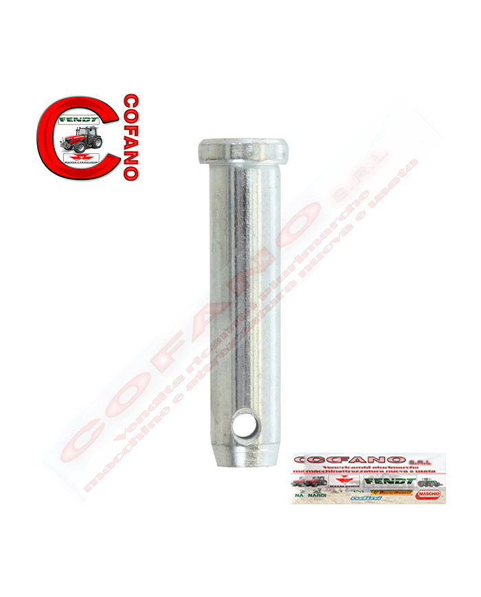 Perno 19x70mm Ø foro 7mm Cat.