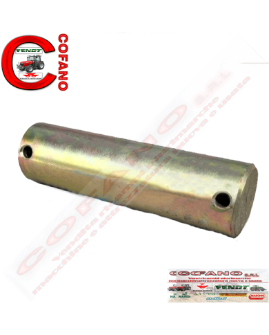 Perno 31x100 mm 1425378M1