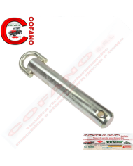 Perno d'attacco 30x171,5 mm 3387270M93
