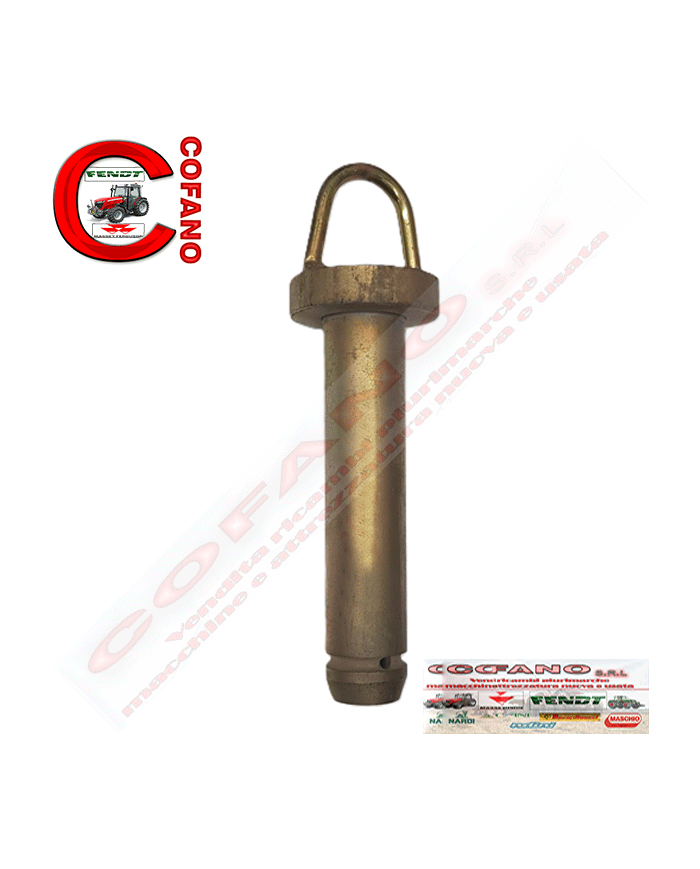 Perno d'attacco 3300417M91