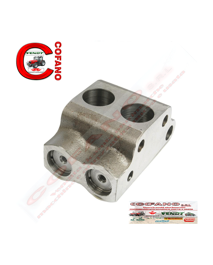 Camera valvolare Massey Ferguson Landini