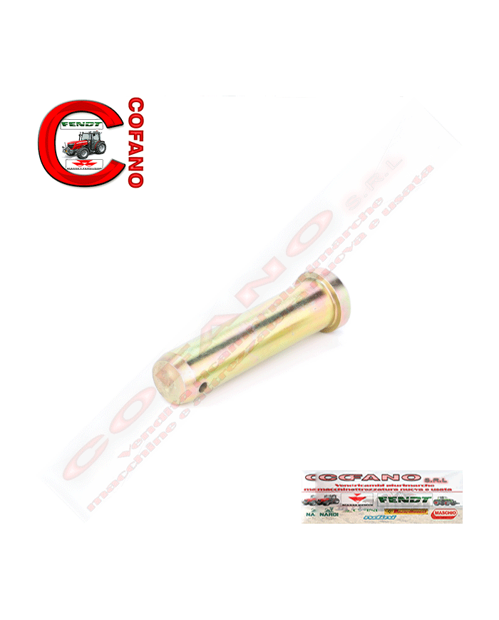 Perno 1694025M1 Agco Ø 22x85 mm