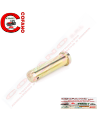 Perno 1694025M1 Agco Ø 22x85 mm