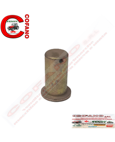 Perno Ø 20x37 mm 3308567M1