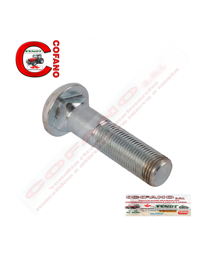 Vite cerchi 3303567M1 testa tonda bombata M16x1.5 L 65