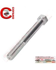 Vite 391327X1 Lung.260