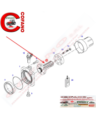 Albero pto 1'' 3/4 Z20 MF Fendt 0071033100000