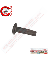 Vite Ø 15x61 mm 353733X1 MF serie 100