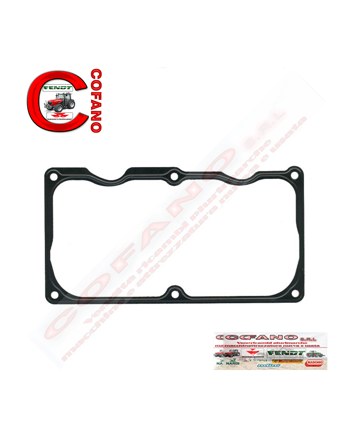 Guarnizione coperchio valvola F926202210010