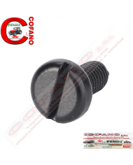 Vite carrozzeria cofano MF serie 300