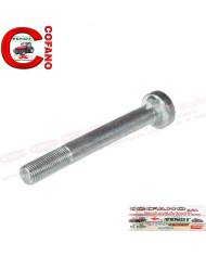 Cuscinetto trasmissione 3148636R91 Case IH 30x37x20 mm