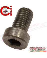 Perno per Case IH 3226021R1 34,5x15,5 mm