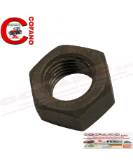 Dado M20 assale anteriore Case IH 3142217R1 29,9X18X15