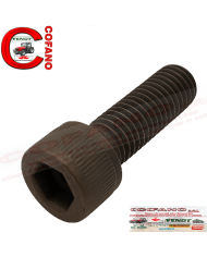 Vite a testa esagonale incassata Case IH 21047R1 44,5x15,9