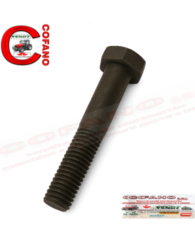 Vite Case IH 179893R1 76x34x12 mm