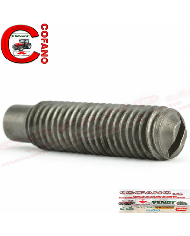 Vite di regolazione bilanciere compatibile con Case IH 3132137R1