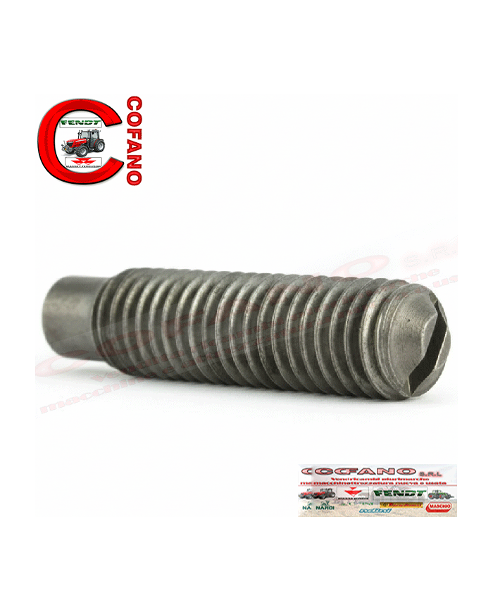 Vite di regolazione bilanciere compatibile con Case IH 3132137R1