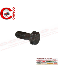 Vite volano 3055156R2 compatibile con Case IH 1/2"-20x33.5 mm