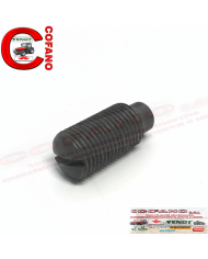 Vite di regolazione frizione Case IH 3224426R1