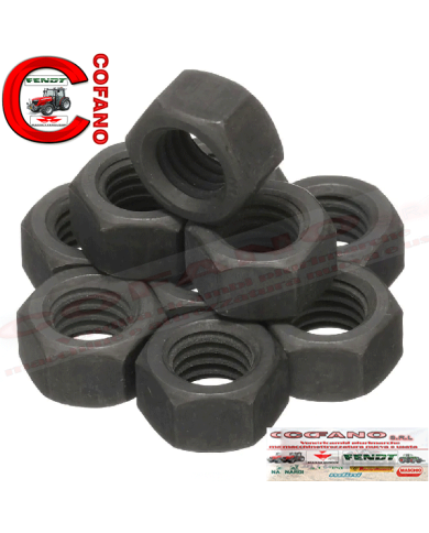 kit 10 pz dadi esagonali 25526R1compatibile con Case IH