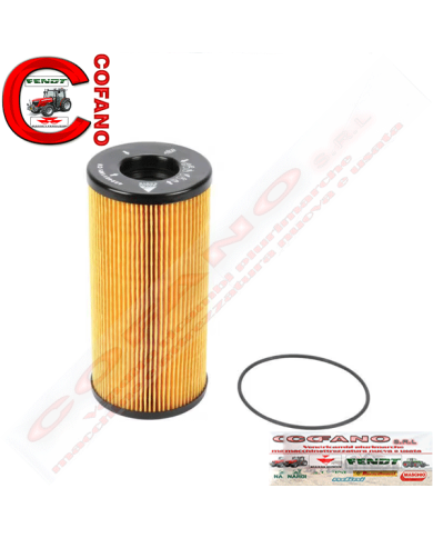 Filtro carburante Agco 4224811M1