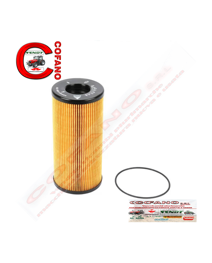 Filtro carburante Agco 4224811M1