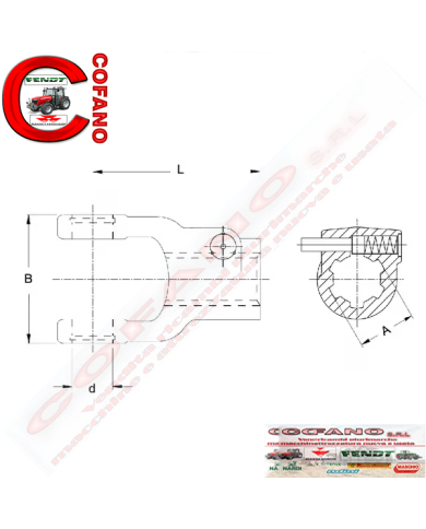 Forcella W2500/P500 3/8 Z21 Waltersheid