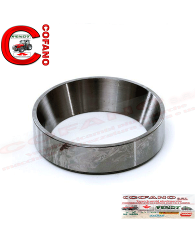 671033R1...Cuscinetto Case