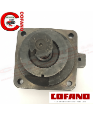 Testina pompa iniezione Bosch compatibile con Case IH 3079118R91