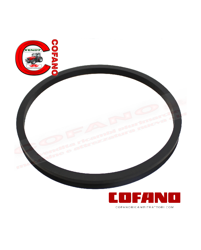 Guarnizione assale anteriore compatibile con Case 171x187x14,5 mm 1349339C1