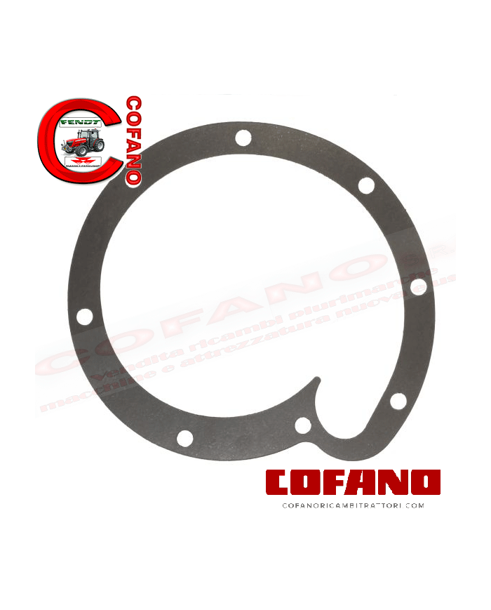 Guarnizione pompa acqua compatibile con Case IH 3055177R2