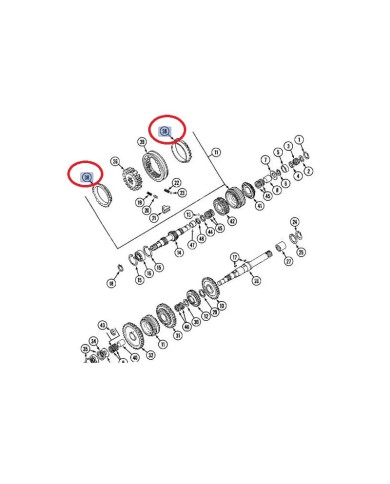 Guarnizione pompa acqua compatibile con Case IH 3055177R2