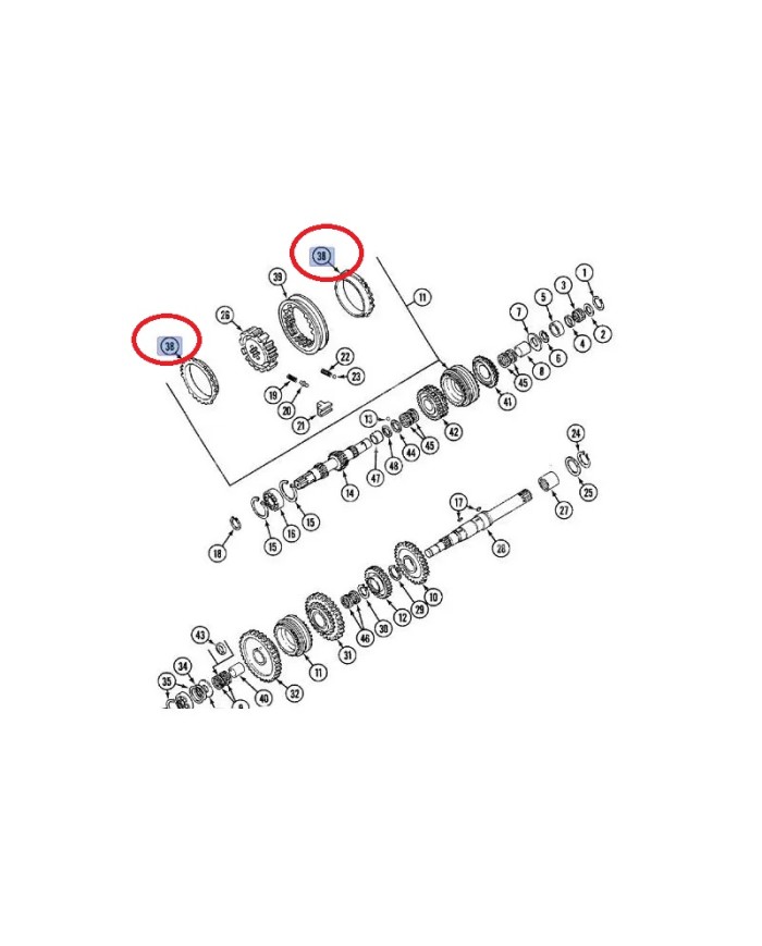 Guarnizione pompa acqua compatibile con Case IH 3055177R2