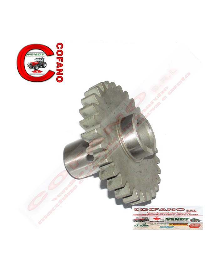 Ingranaggio 1660714M1 presa di forza Z29