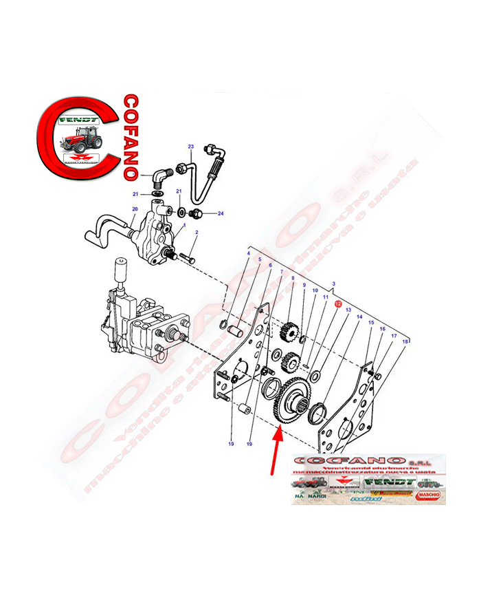 Ingranaggio pompa idraulica 1868540M1 Agco