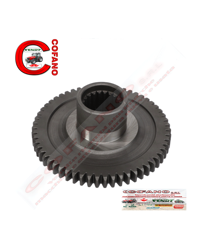 Ingranaggio pompa idraulica 1868540M1 Agco