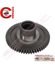 Ingranaggio pompa idraulica 1868540M1 Agco