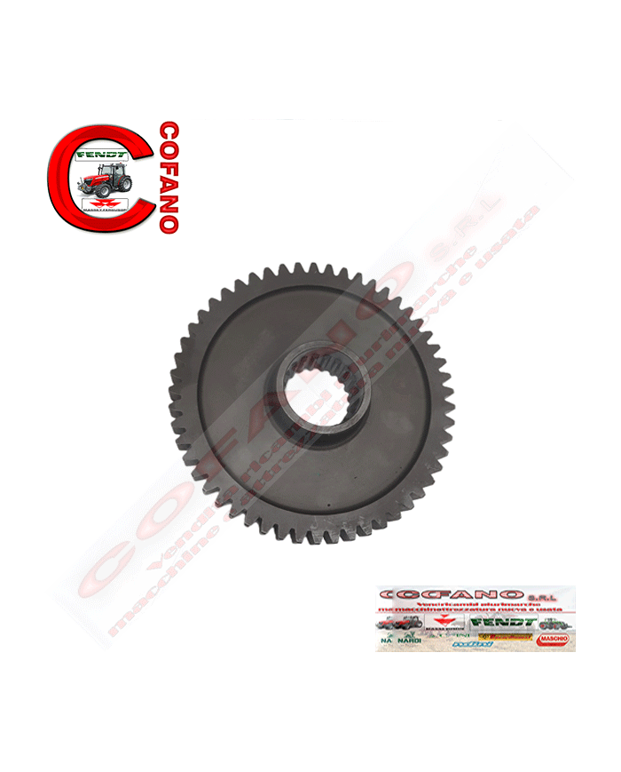 Ingranaggio Z53 Agco 964958M1