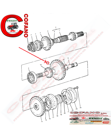Ingranaggio Agco 1617940M1 Massey Ferguson 270-280-290-590