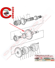 Ingranaggio Agco 1617940M1 Massey Ferguson 270-280-290-590