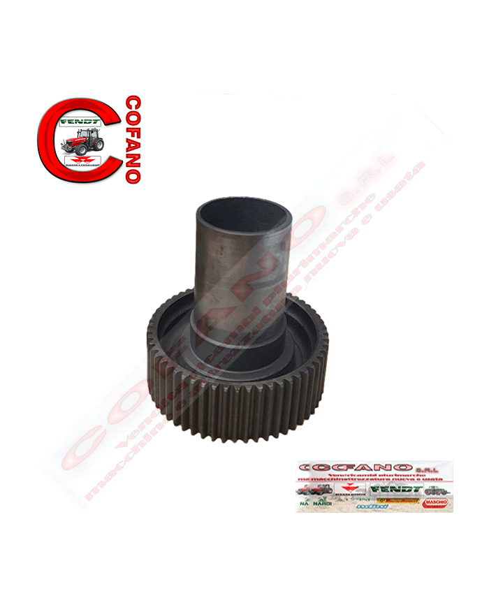 Ingranaggio Agco 532892M1