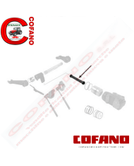 Biella motore MF Landini