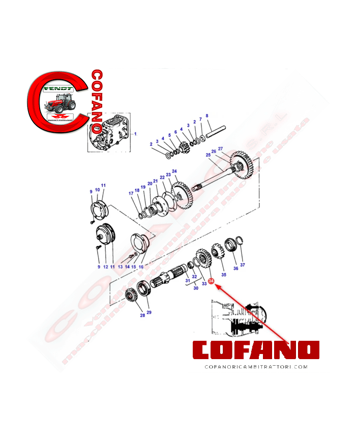 Pignone 33 denti Agco 1867253M2