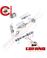 Pignone 33 denti Agco 1867253M2