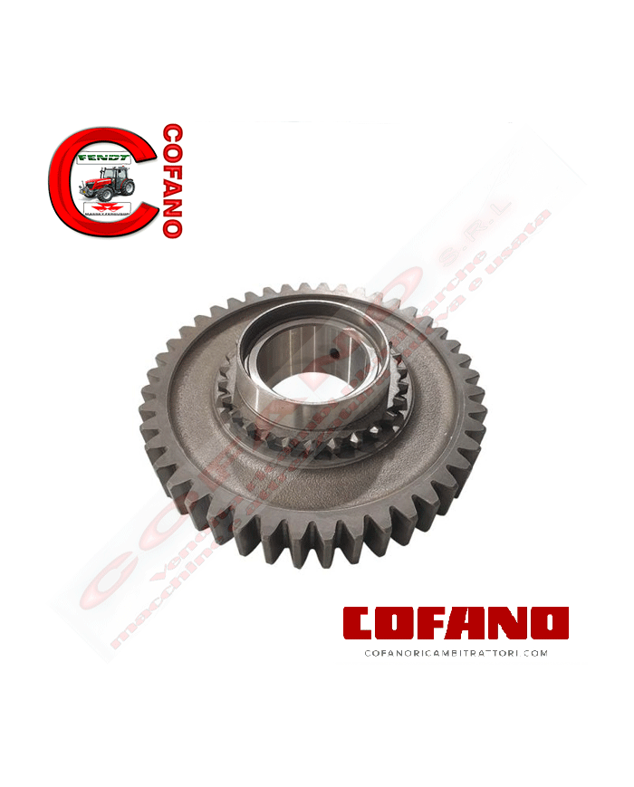 Ingranaggio Z44 Agco 1423517M2