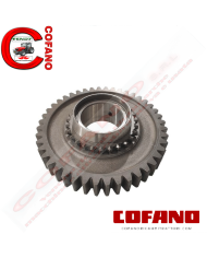 Ingranaggio Z44 Agco 1423517M2