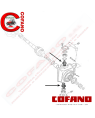 Perno fusello assale a snodo Agco 3429586M1 Landini MF